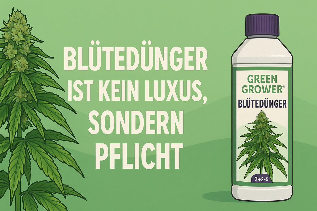 Blütedünger ist kein Luxus – sondern Pflicht!