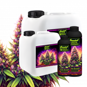 Green Grower Blüte-Booster
